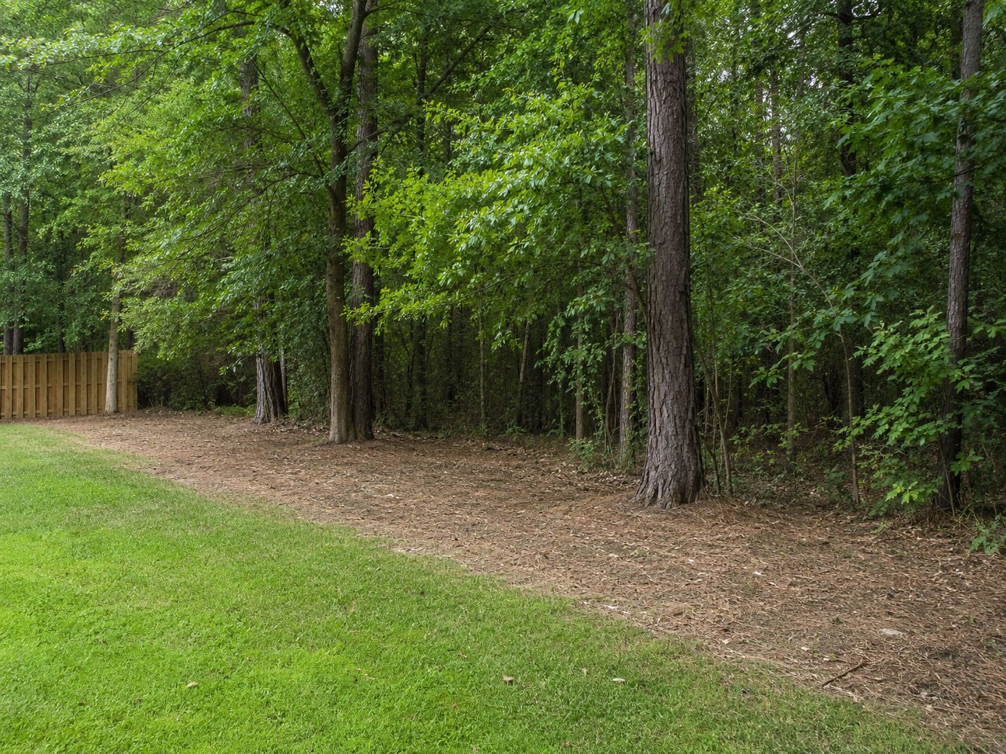 Brush & storm debris — after