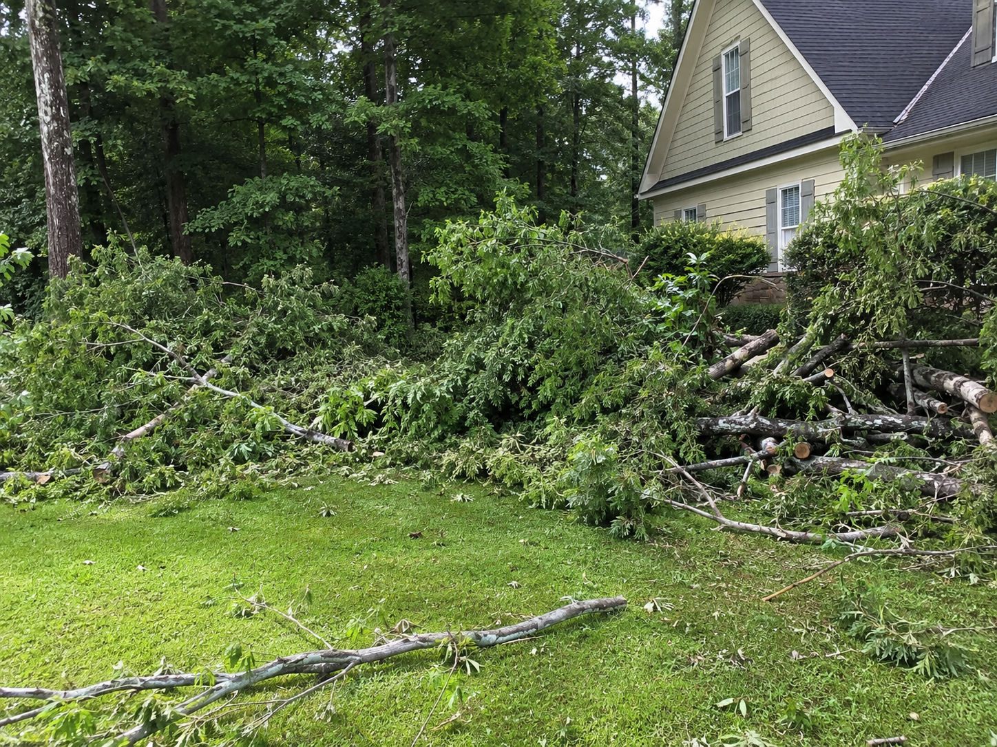 Brush & storm debris — before
