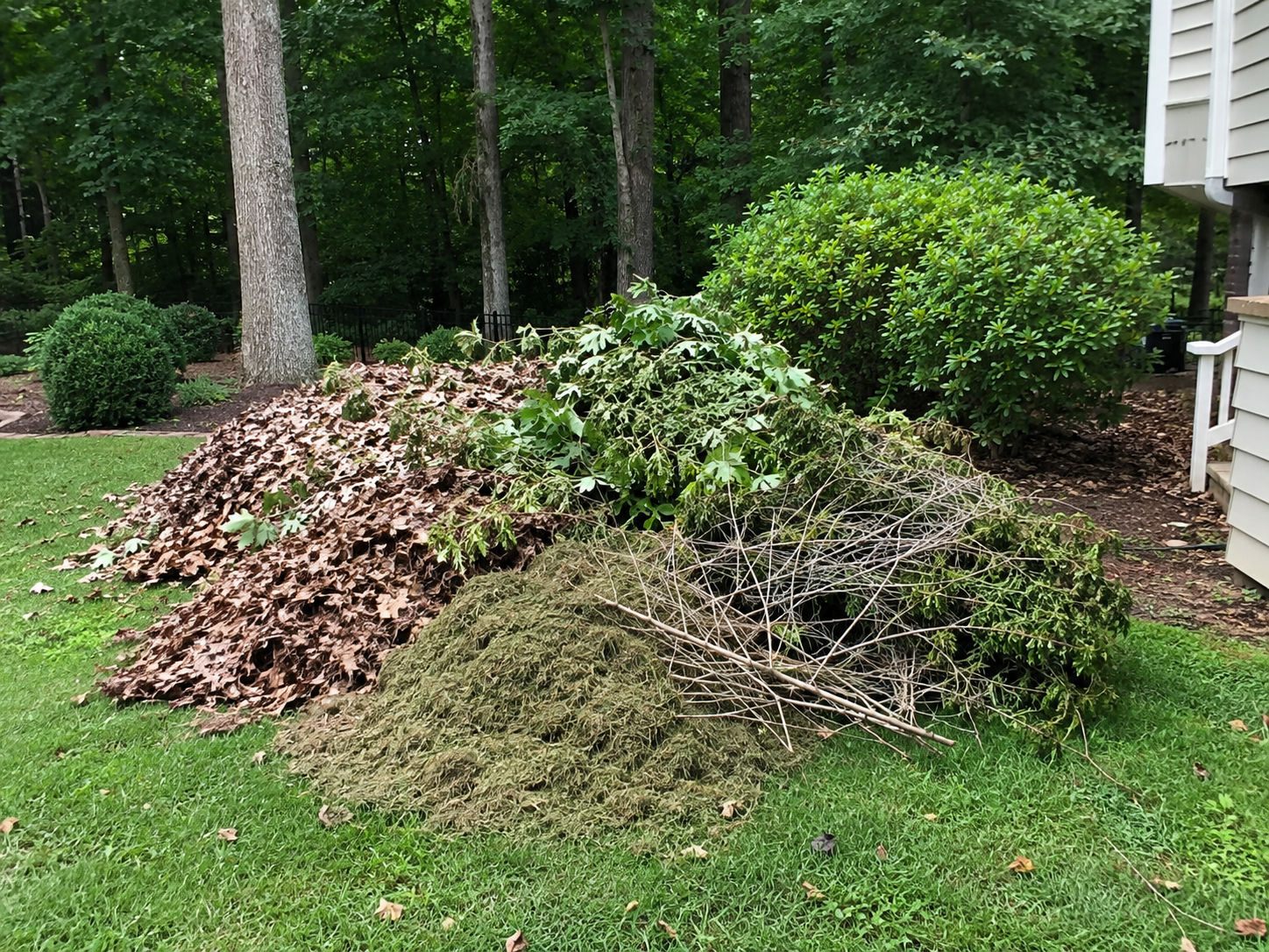 Yard waste haul-off — before